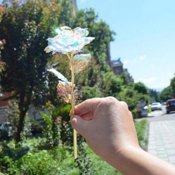 Light Up Iridescent Rose - Picture 2 of 5